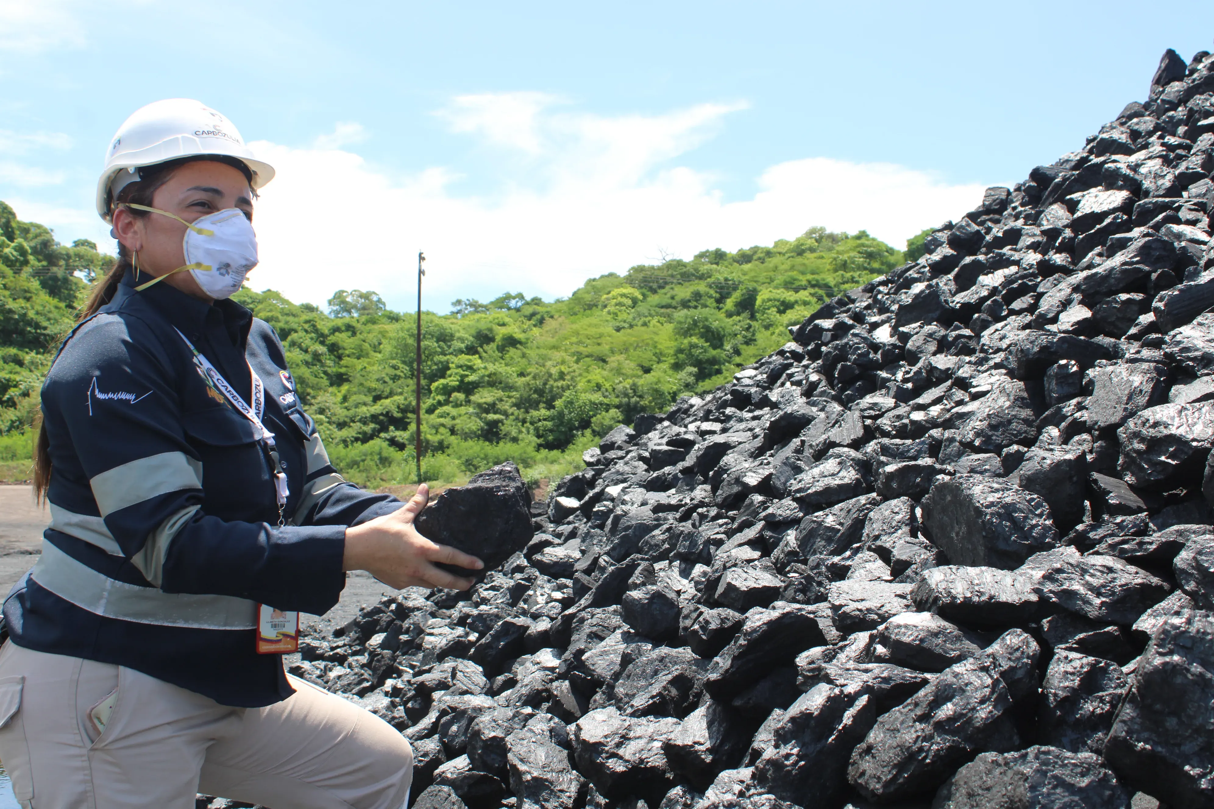 Gobierno Bolivariano