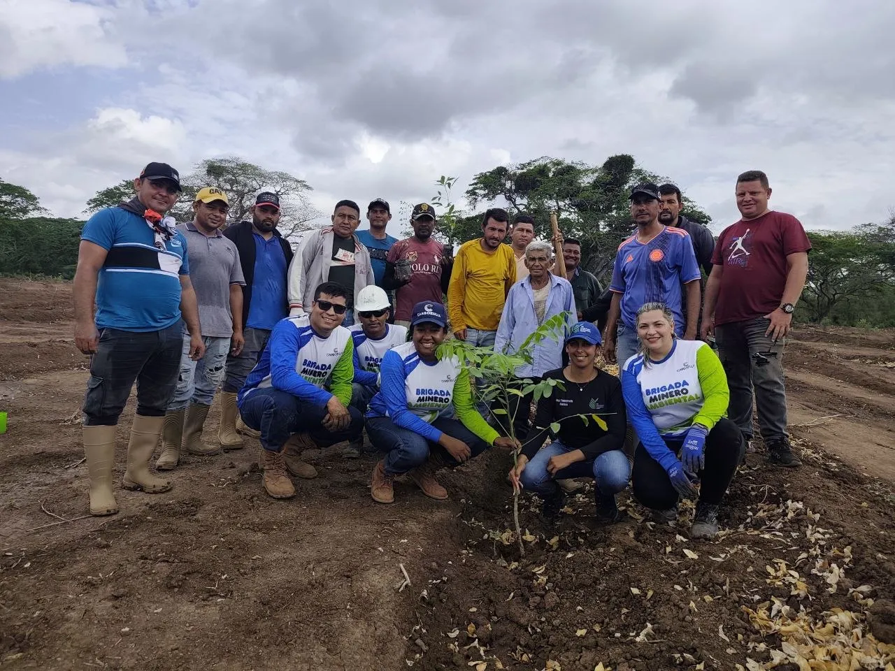 Impulsan el Plan Nacional de Reforestación en el eje minero